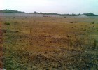 Photo of vacant land in Mfuleni Extension 2.