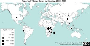 Map of plague cases