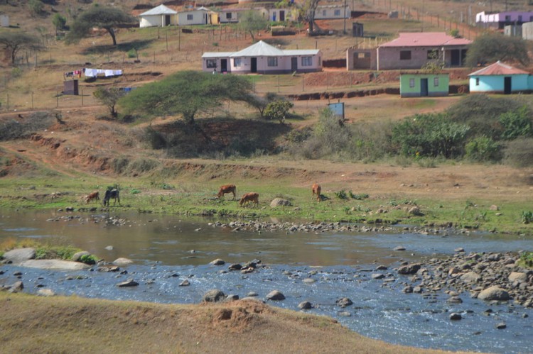 Photo of homestead overlooking river