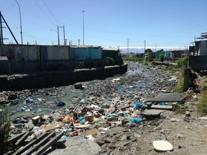 Photo of clogged up river
