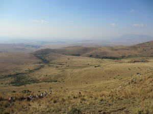 Photo of grasslands