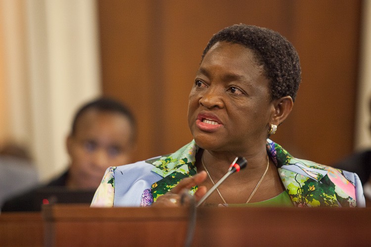 Photo of Minister Dlamini