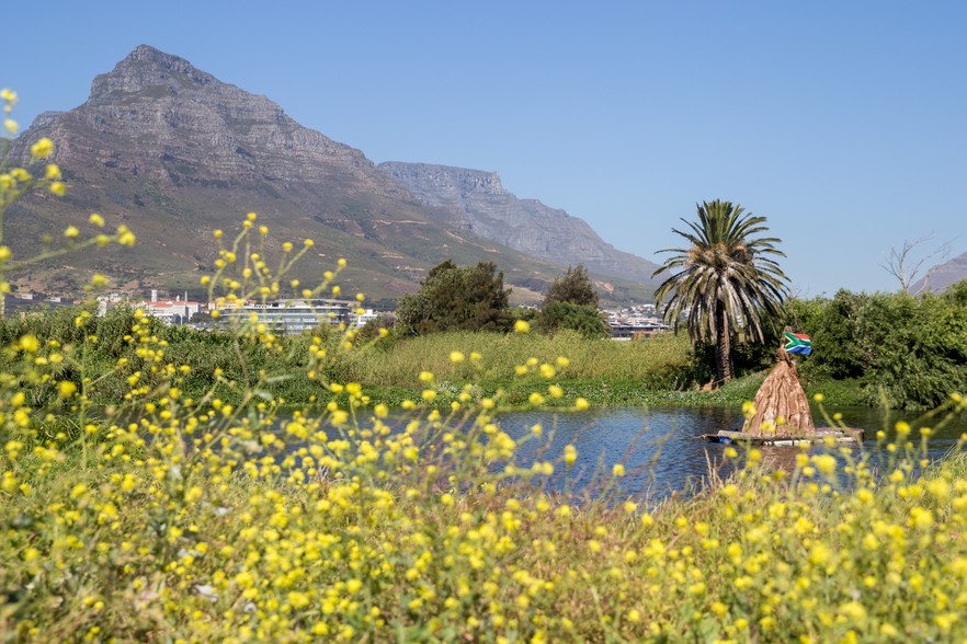 Photo of Table Mountain in the background of a field