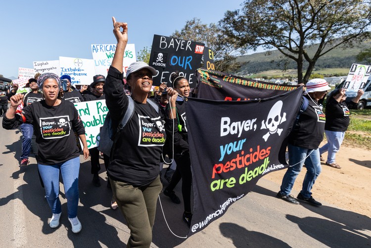 Farm workers march against pesticides Farm workers march against pesticides