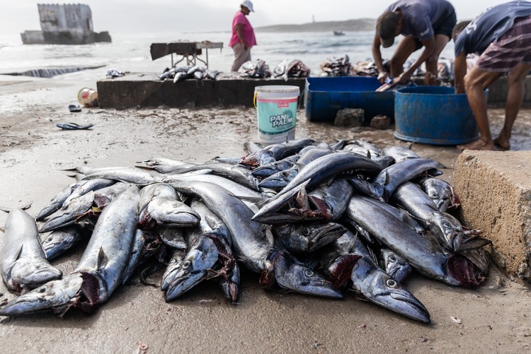 Police and soldiers deployed to tiny West Coast fishing village | GroundUp