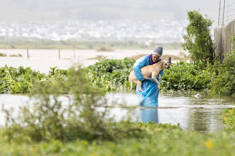 Elzaan Debruyn carries her dog Cocoa through water in Sandvlei during a flood. - Ashraf Hendricks