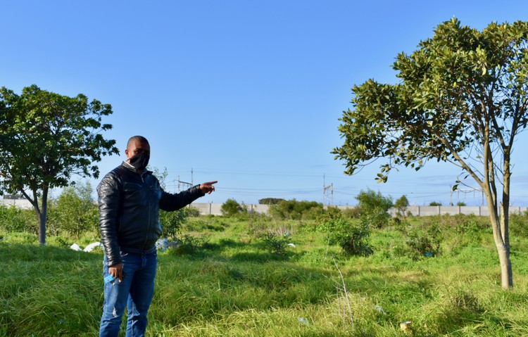 Photo of a man in a field