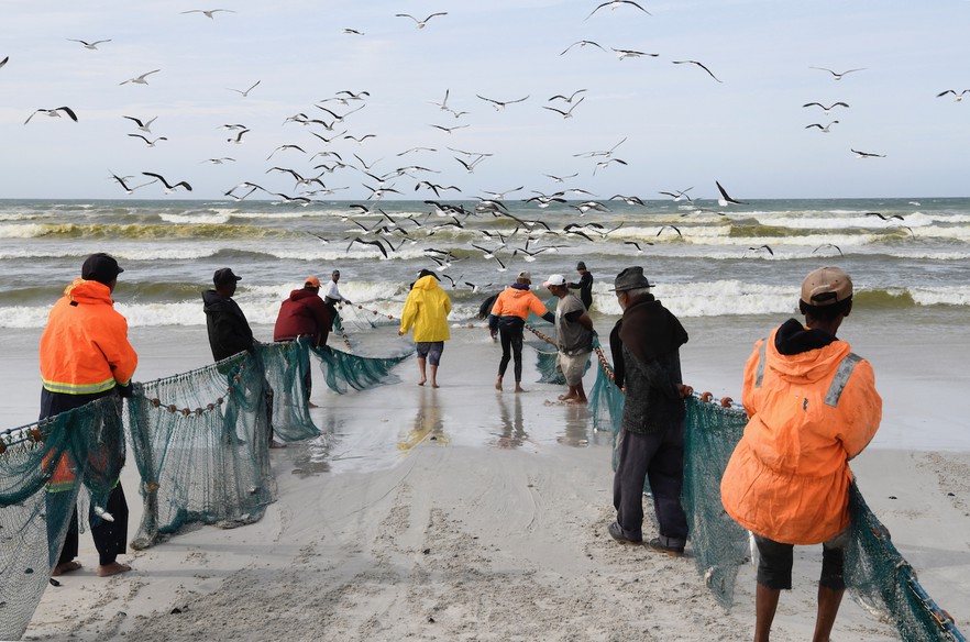 fishermen cape town false bay south africa fish nets