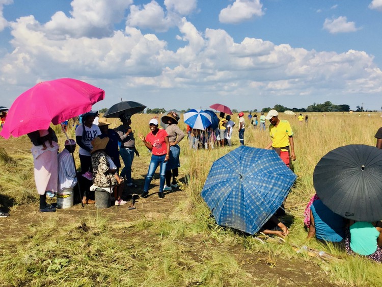 Photo of people in a field