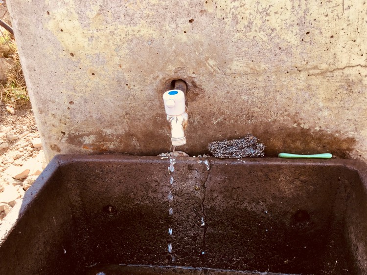 Photo of a leaking tap