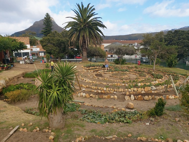 The Streetscapes garden in Vredehoek offers employment and social interventions for homeless people.