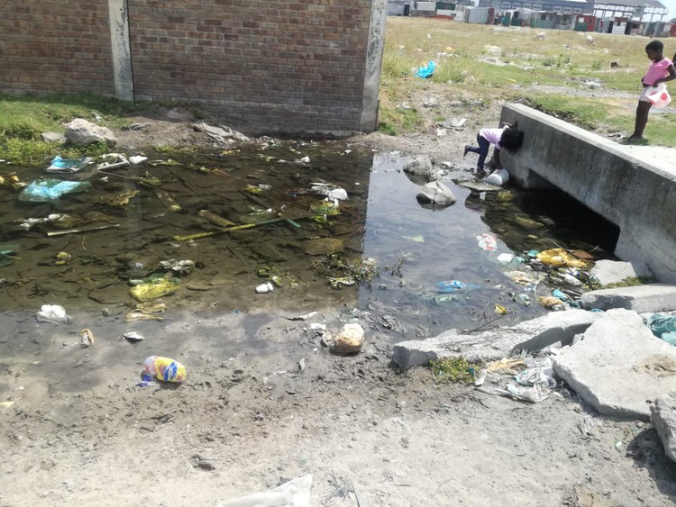 Photo of children taking water from dirty stream