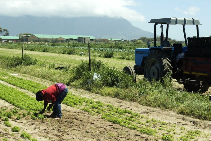 Photo of farm worker on land 