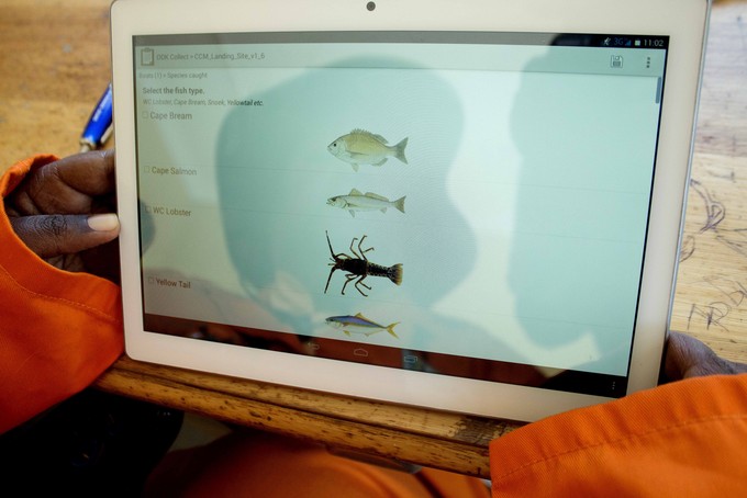 Photo of computer app