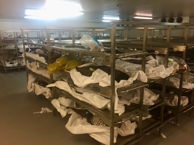 Photo of body bags
