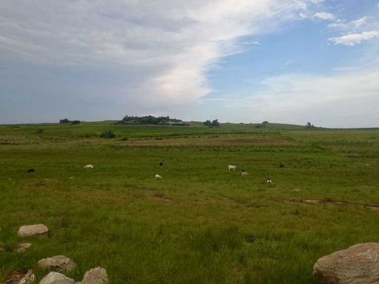 Photo of a field with a village in the distance