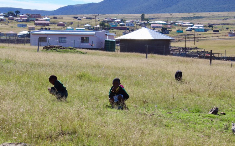 Photo of children defecating in field