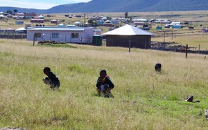 Photo of small children squatting in a field
