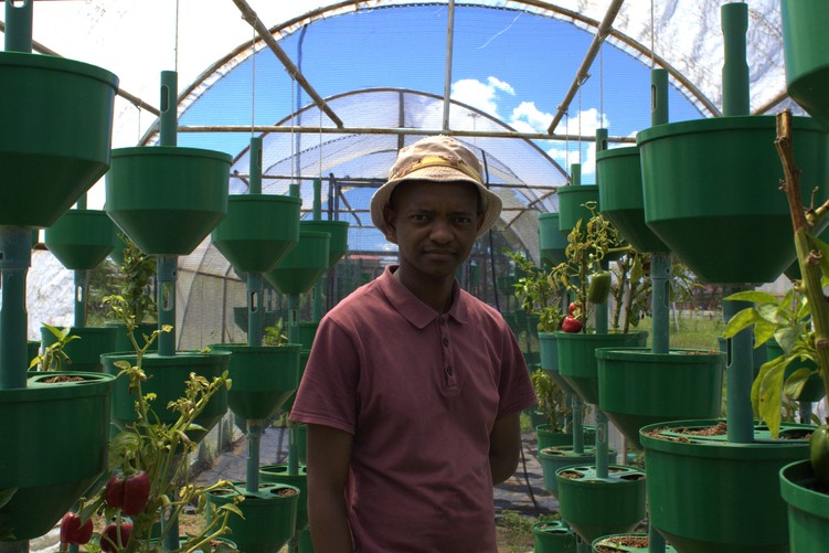 Monyane Matsose stands inside one of the greenhouses built by volunteers at the Kitso Information Development Centre.