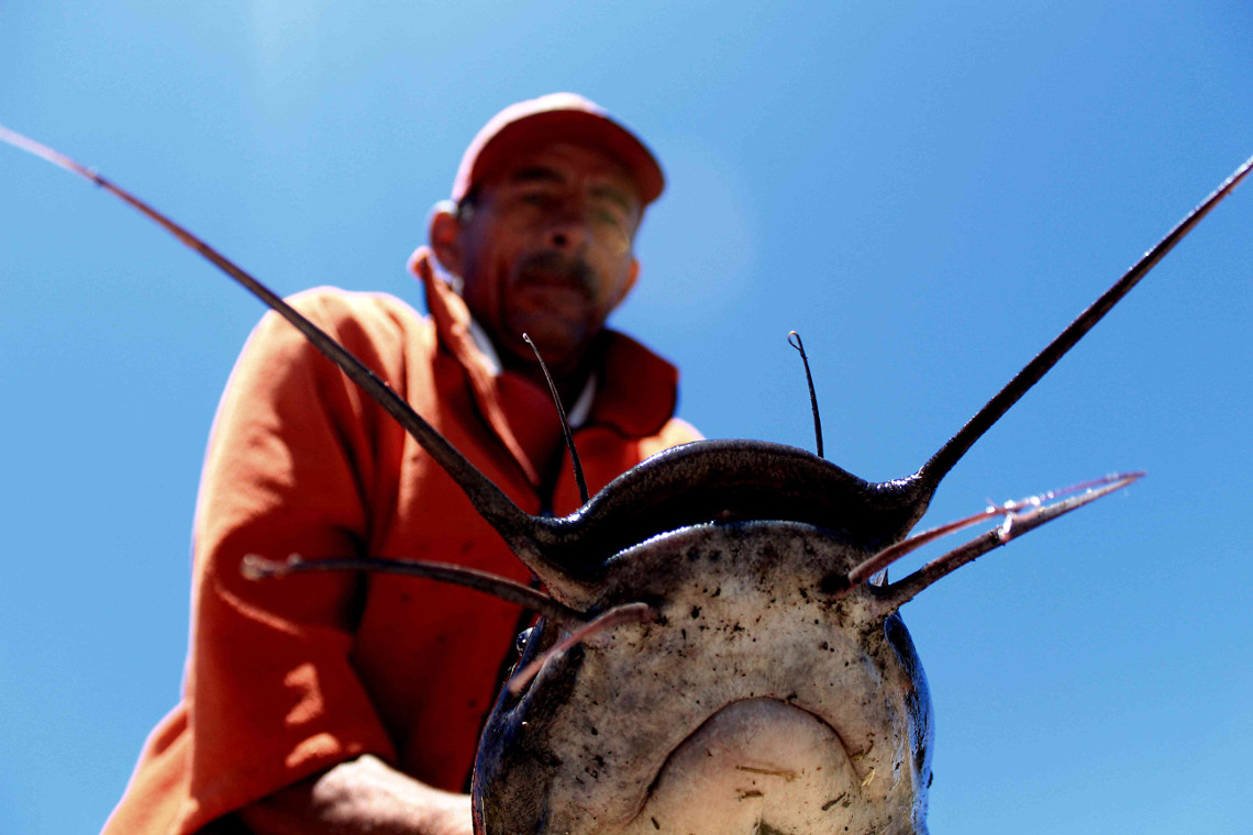 Wayne Wilke cleans a catfish he caught in the Black River.​