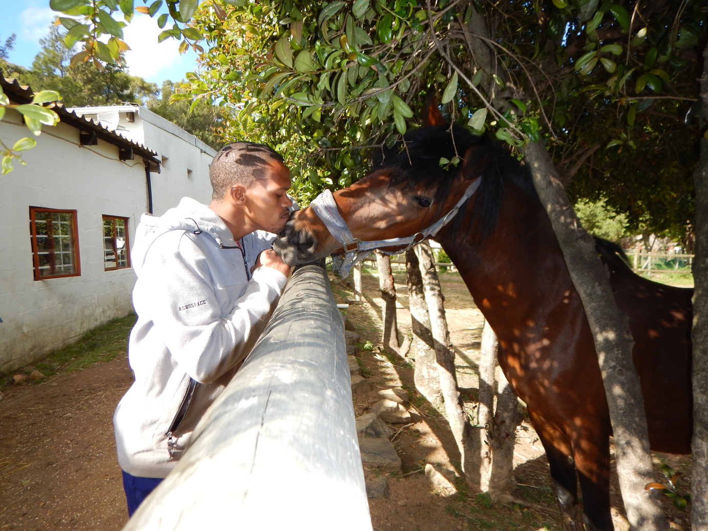 Photo of a man kissing a horse