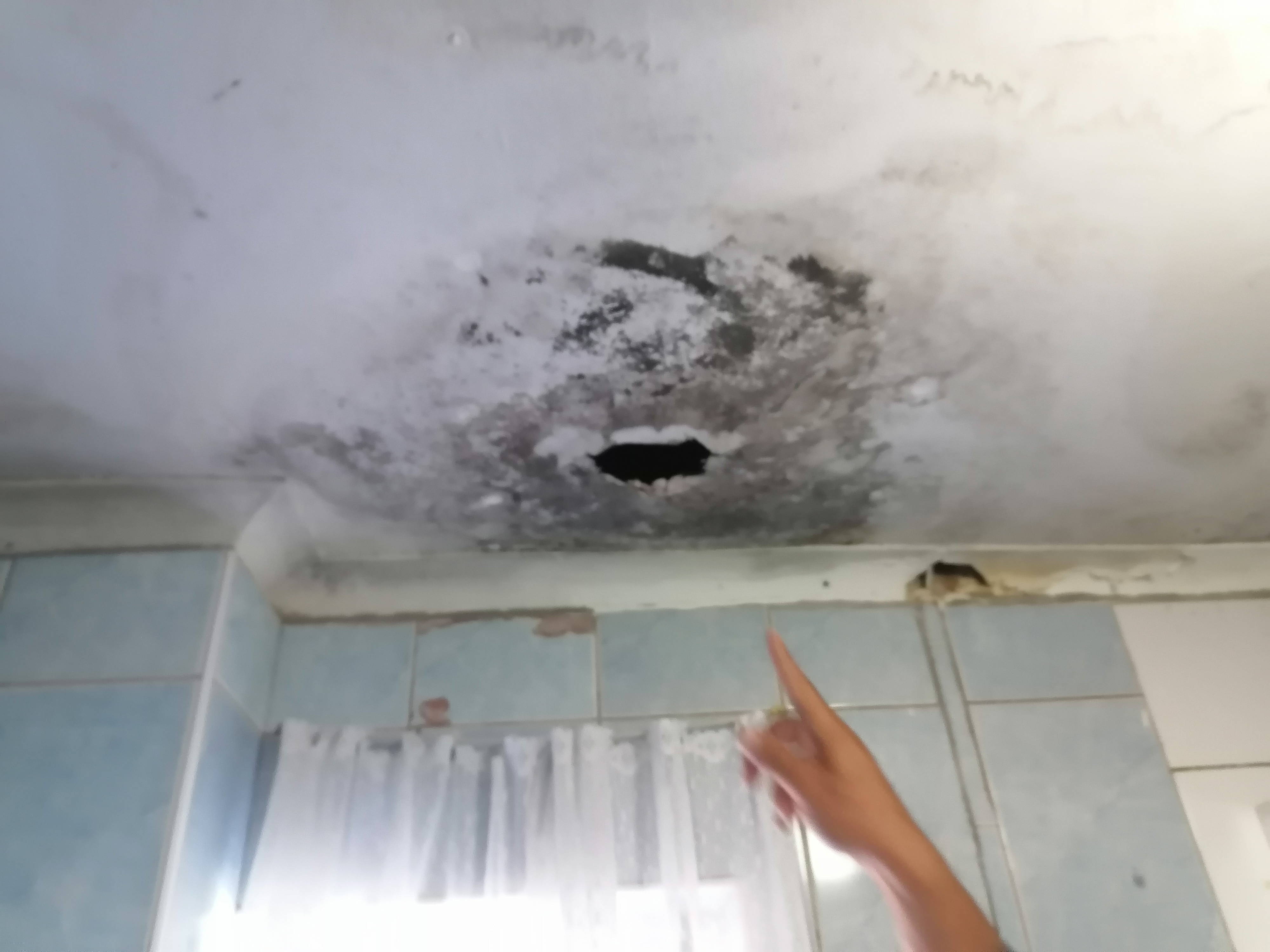Government flats falling apart, say Wentworth residents GroundUp