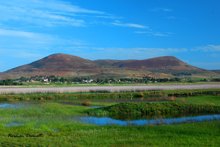 Mabole Protected Environment with Wakkerstroom in the background_Norman Dennett.jpg